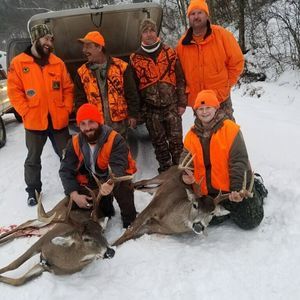 Meet your Posher, Owen